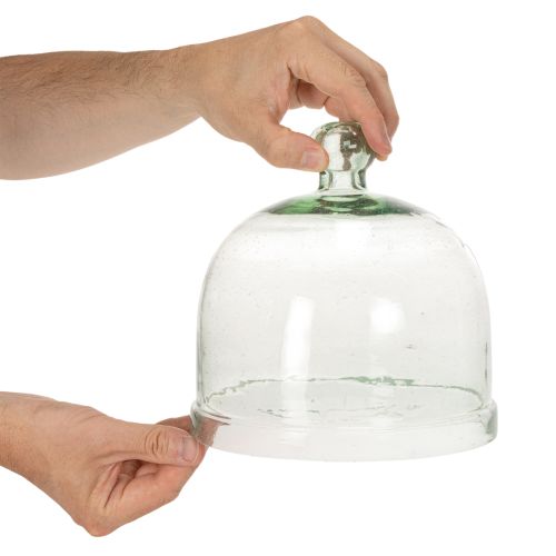 Ziehglocke Glas S Glasglocke mit Knauf für Dekoration 20cm | Floristik24.de