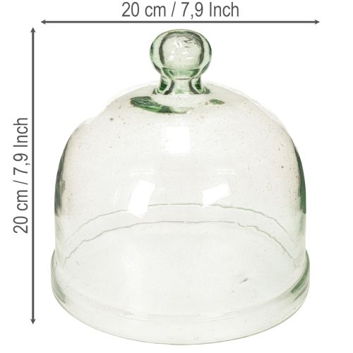 Ziehglocke Glas S Glasglocke mit Knauf für Dekoration 20cm | Floristik24.de