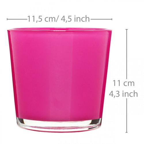 Floristik24 Glaskübel, Übertopf Pflanzgefäß Pink Ø11,5cm H11cm