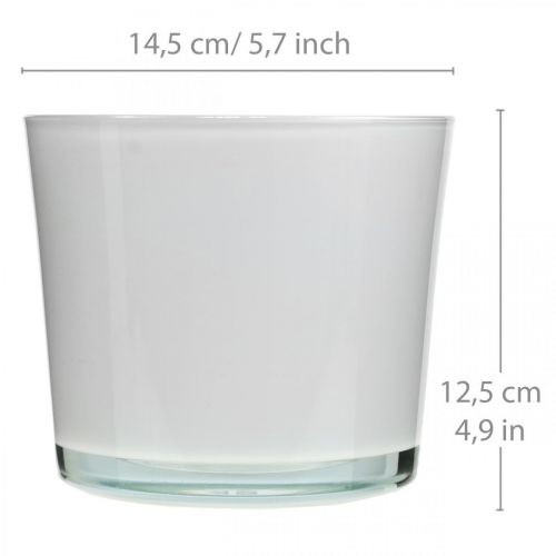 Artikel Glas Blumentopf Weiß Übertopf Glaskübel Ø14,5cm H12,5cm