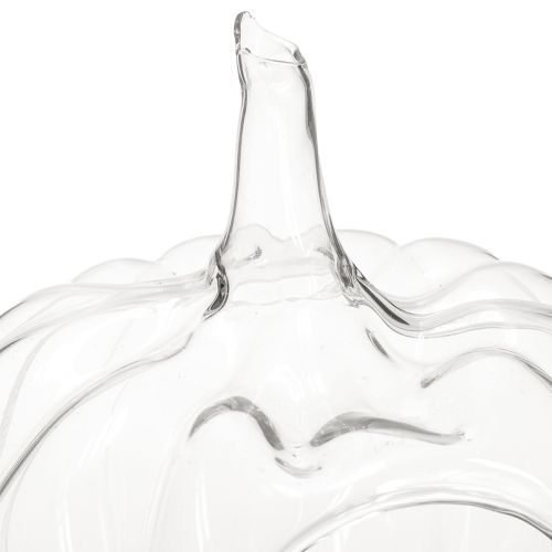 Floristik24 Glaskürbis mit Öffnung Herbstdeko Kürbis Klar Ø21cm H20cm