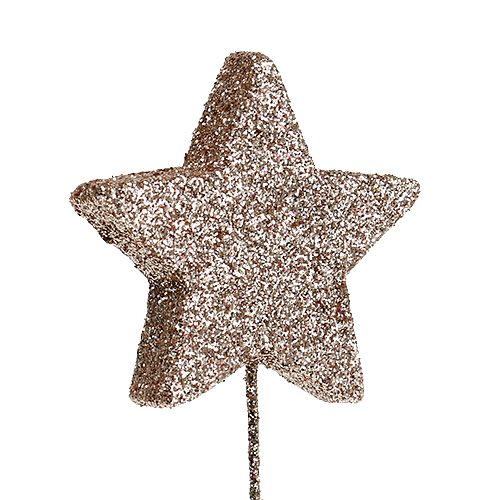 Floristik24 Glitterstern am Draht Champagner 5cm 48St