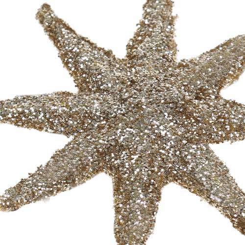 Floristik24 Dekostern Glitter Champagner 5cm 20 St