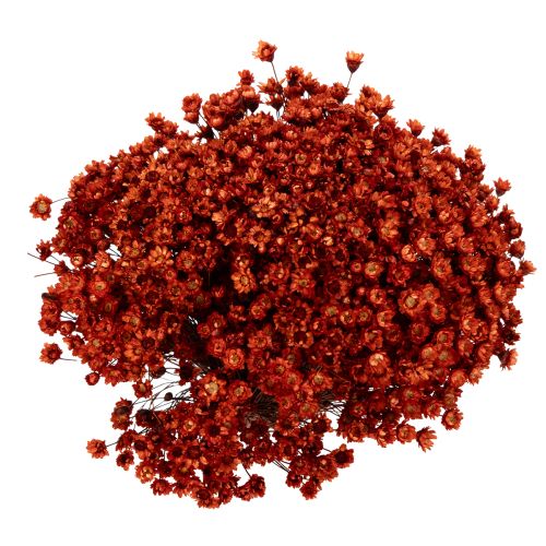 Artikel Trockenblumenstrauß charmante Beigabe für Vasen oder Gestecke 44cm