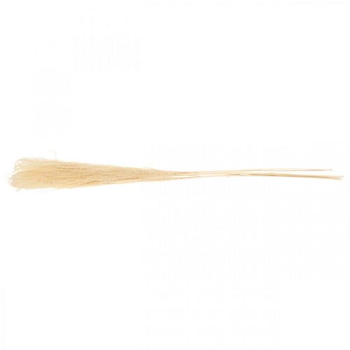 Floristik24 Getrocknetes Deko Gras Natur Ziergras Trockendeko 6 Stiele 