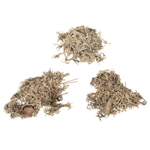 Dekomoos Graumoos für Bastelarbeiten 500g | Floristik24.de