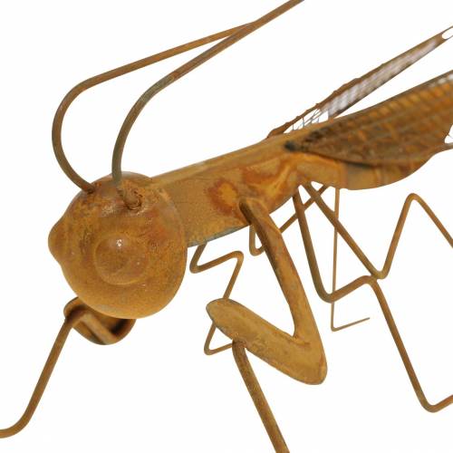 Floristik24 Gartendeko Grille Edelrost Metall 14,5cm