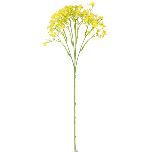 Artikel Gypsophila Rispiges Gipskraut Gelbe Blüten L46cm 4 St