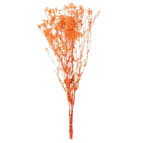 Schleierkraut Trockenblumenstrauß Gypsophila 75cm 100g | Floristik24.de