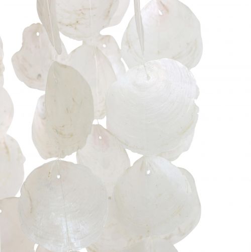Floristik24 Hängedeko Muscheln Capiz Windspiel Deko Ø29cm 185cm