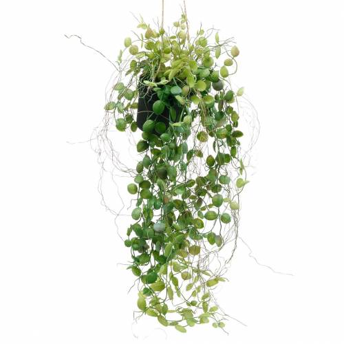 Floristik24 Hängepflanze im Topf Künstliche Grünpflanze Pflanzenampel