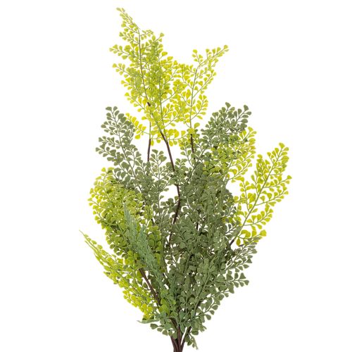 Künstlicher Farnzweig filigran für Vase 80cm | Floristik24.de