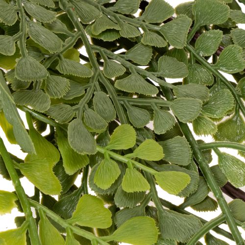 Künstlicher Farnzweig filigran für Vase 80cm | Floristik24.de