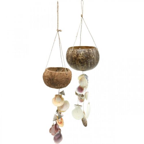 Kokosschale mit Muscheln, natürliche Pflanzschale, Kokosnuss als Blumenampel Ø13,5/11,5cm 2er-Set