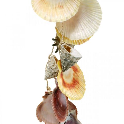 Floristik24 Kokosschale mit Muscheln, natürliche Pflanzschale, Kokosnuss als Blumenampel Ø13,5/11,5cm 2er-Set