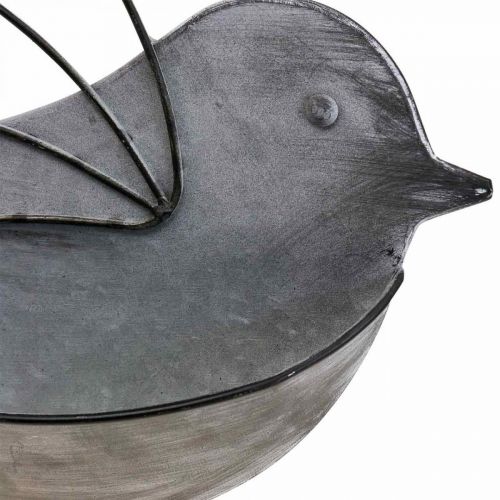 Floristik24 Hängetopf Metall Vogel Wand Blumentopf zum Hängen 34×22cm