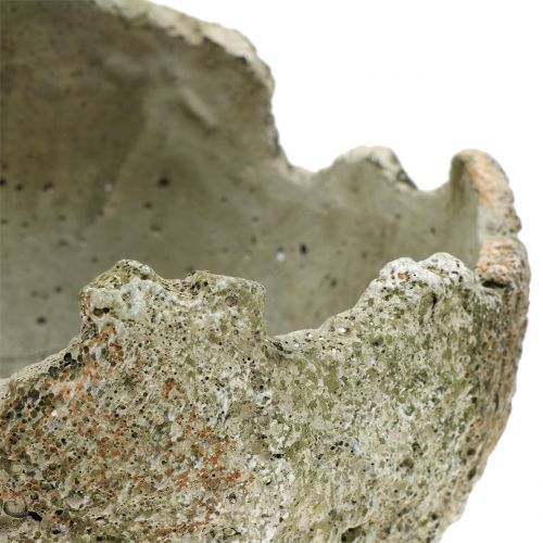 Floristik24 Betonkugel zum Bepflanzen Ø17cm H17,5cm