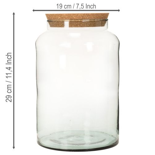 Halboffene Terrariumflasche M Großes Glasgefäß 29cm | Floristik24.de