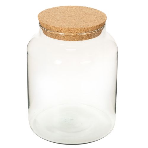 Halboffene Terrarienflasche S mit Korkdeckel Großes Glas 24cm | Floristik24.de