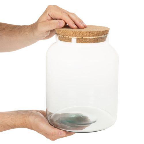 Halboffene Terrarienflasche S mit Korkdeckel Großes Glas 24cm | Floristik24.de