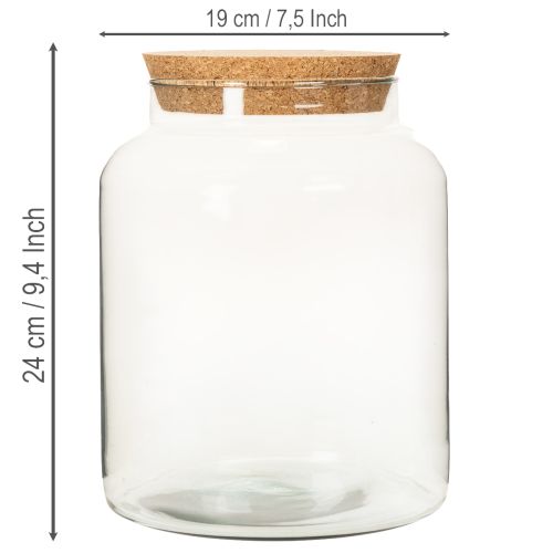 Halboffene Terrarienflasche S mit Korkdeckel Großes Glas 24cm | Floristik24.de