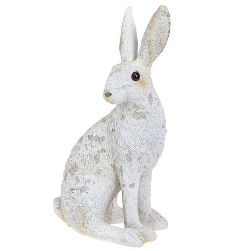 Floristik24 Deko Hase sitzend Figur Osterhase Shabby Chic 12×9×25cm