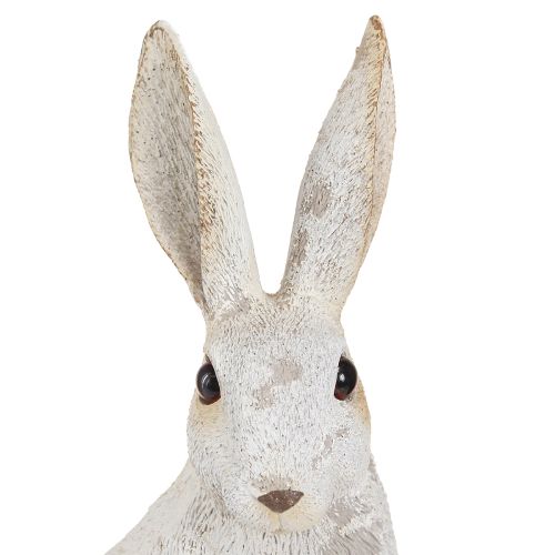 Floristik24 Deko Hase sitzend Figur Osterhase Shabby Chic 12×9×25cm