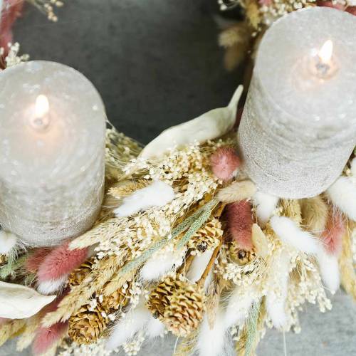 Floristik24 Trockenfloristik Hasenschwanz-Gras Lagurus Rotbraun 100g