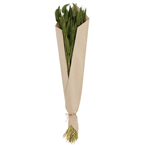 Artikel Hasenschwanzgras Lagurus Getrocknet Deko Grün 50-60cm 50g Trockenblumen