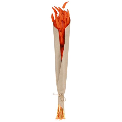 Artikel Hasenschwanzgras Orange Trockenblumen Deko 50-60cm 50g - Samtiges Lagurus für Tischdeko & Basteln