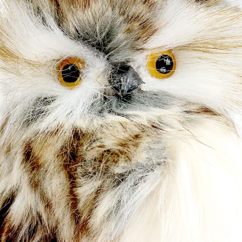 Floristik24 Herbststecker Eule 13cm L50cm