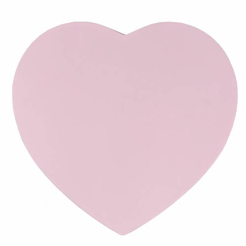 Floristik24 Blumenbox Herz Rosa Ø18/20cm 2er-Set