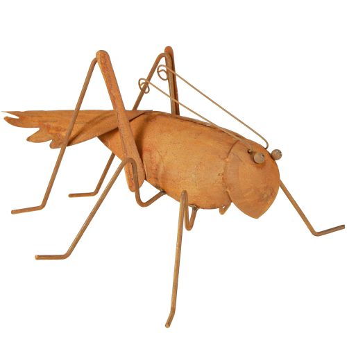 Floristik24 Heuschrecke Gartendeko Rost Metall Deko zum Stellen 26cm