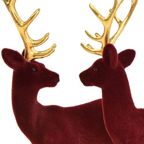 Floristik24 Hirsch Deko Rentier Bordeaux Gold Kalb Beflockt 20cm 2er-Set