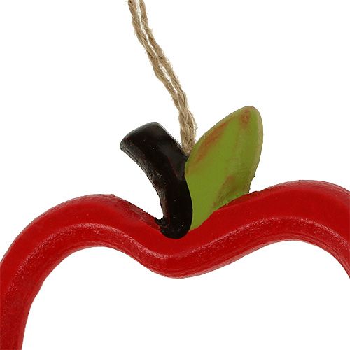 Floristik24 Holzapfel zum Hängen 17cm 8St
