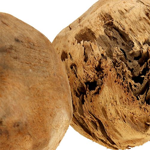 Floristik24 Holzball Tannenball Natur Ø9cm 3 St