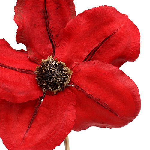 Artikel Holzblüte Stecker Rot Deko 9-12cm 45cm 15 Stück Blumen
