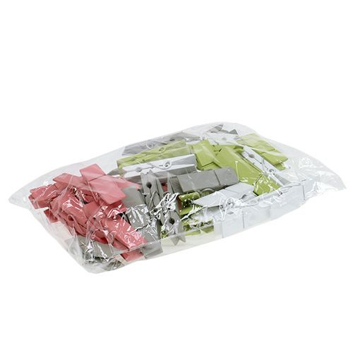 Floristik24 Holzklammern bunt 7,2cm 48 St