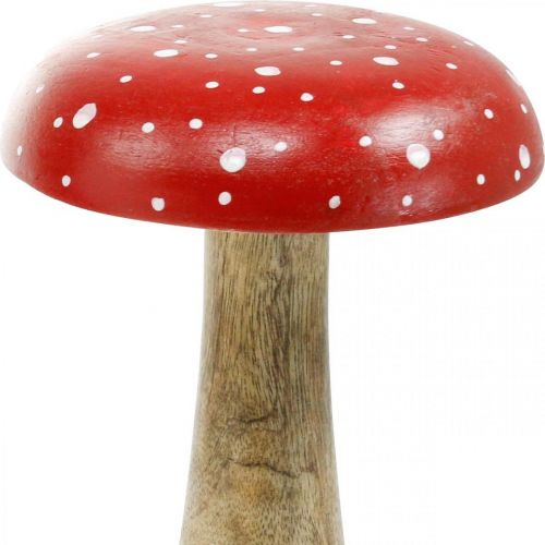 Floristik24 Fliegenpilz Holz groß Herbstdeko Pilz Ø14cm H24cm