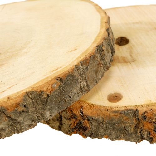 Floristik24 Holzscheibe Natur 20cm 2 St