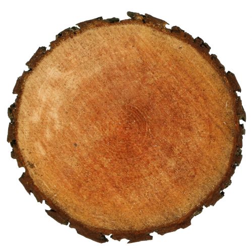 Floristik24 Holzscheibe aus Erle Natur Ø20cm - 24cm