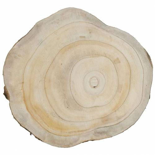 Floristik24 Holzscheibe Natur Ø25-32cm