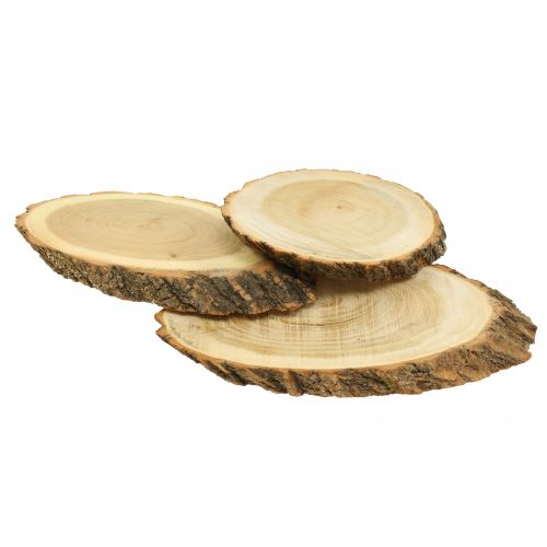 Floristik24 Holzscheiben oval Natur 20cm - 23cm 3St