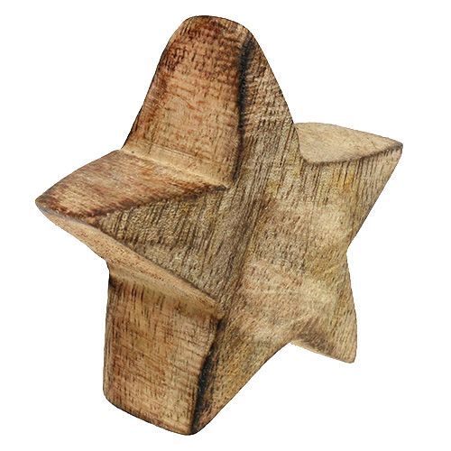 Floristik24 Holzstern Natur 5cm - 6cm in Box 12St