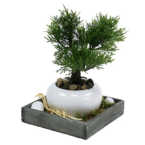 Floristik24 Holztablett Grau 14cm x 14cm x 3cm 5St