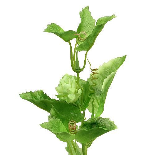Hopfenzweig 70cm Grün 2St Künstliche Pflanze wie echt !