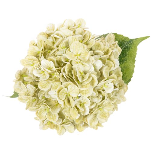 Künstliche Hortensie Blume mit langem Stiel und Blättern 60cm | Floristik24.de