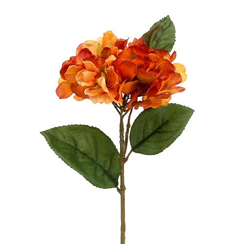 Hortensie Orange 30cm 3St