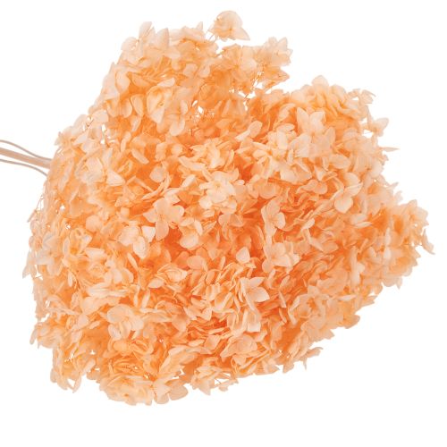 Artikel Hortensie Trockenblumenstrauß für elegante Floristik Dekorationen zuhause 65cm