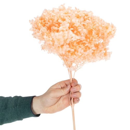 Artikel Hortensie Trockenblumenstrauß für elegante Floristik Dekorationen zuhause 65cm